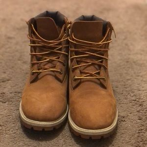 Wheat timberlands